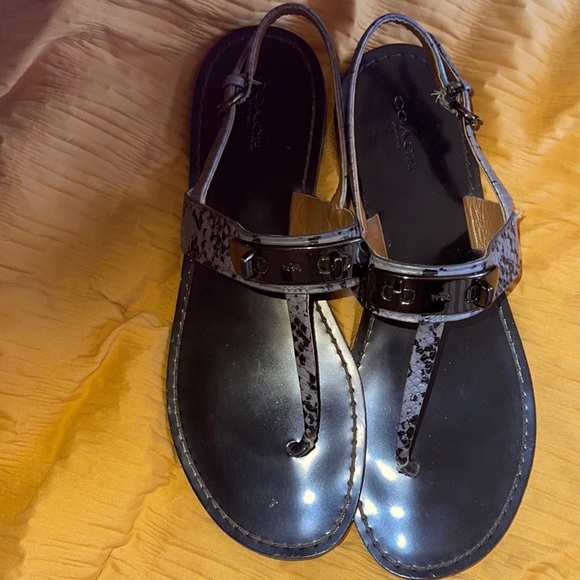 Coach Gracie Sandals - Picture 9 of 13